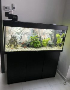 Juwel Rio 240 liter high-end aquarium at a nominal price For sale!