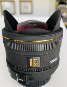 Sigma 10mm F2.8 EX DC Fisheye