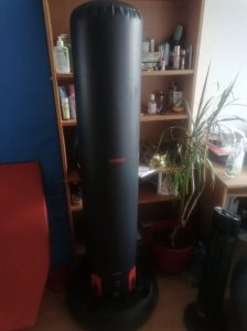 Stand up punching bag