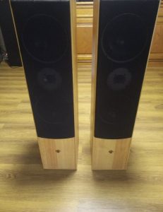 Cat MBC 313 B speaker pair