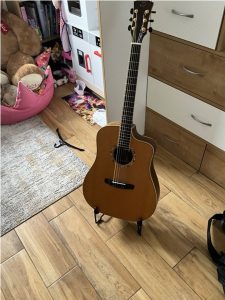 Gitara malo pouzivana