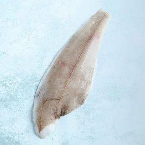 Wild British Megrim Sole Fillets