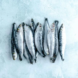 Whole Wild Atlantic Sardines