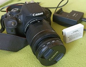 Canon EOS700D with 18-55 MM Lens