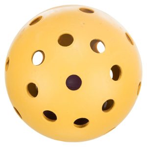 Trixie ball for visually impaired dogs