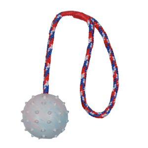 Trixie Rubber Ball with Throwing Handle