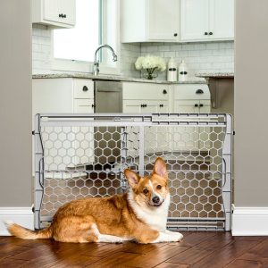 Carlson Expandable Plastic Pet Gate