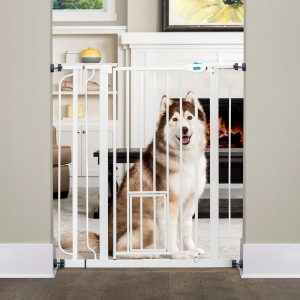 Carlson Extra High Pet Gate with Cat Flap