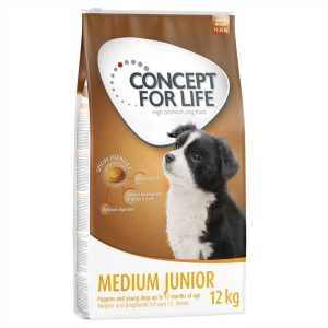 Concept for Life Medium Junior