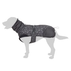 Reflecting Stars Dog Coat