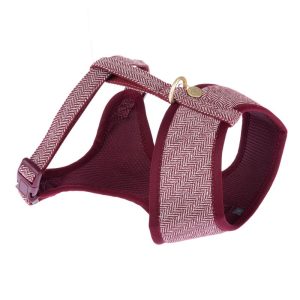 Nomad Tales Calma Harness - Burgundy