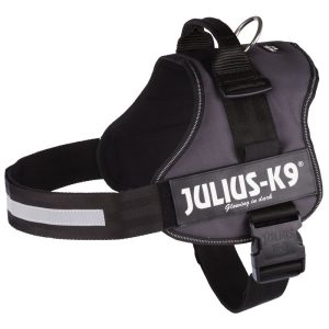 JULIUS-K9® Power Harness - Anthracite