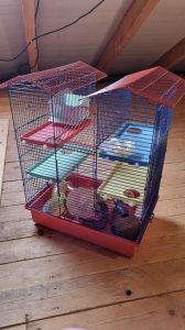 I am selling a cage for a hamster