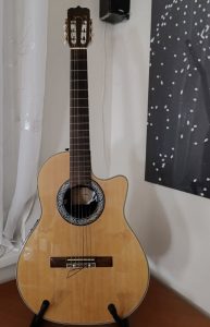 Electro Acoustic Guitar