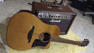 I am selling a LAG T100DCE guitar + a Marshall AS50D combo