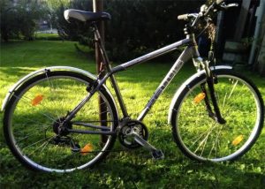 Trekking bike for adults PELL' S