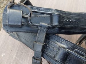 Leather straps for horses