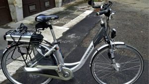 A pair of electric bicycles