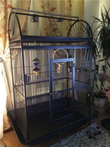 XXL aviary - cage for birds