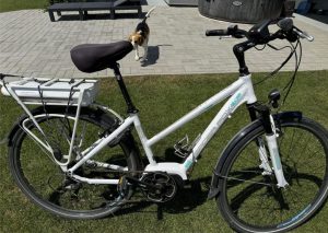 Leader Fox Hasuda e-bike (3340 km driven)