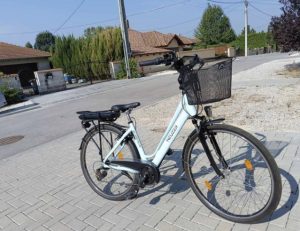 Ebike Neuzer Holland de Lux 18