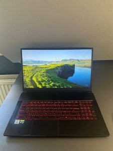 MSI GF75 Thin 10SER-493CZ