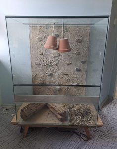 Skleněné terarium