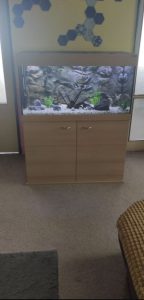 Aquarium 270 liters