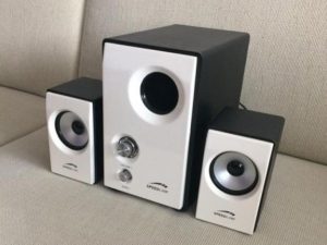 Speed link Subwoofer system