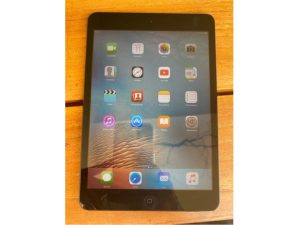 apple iPad mini