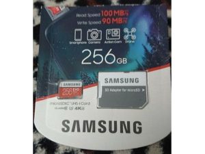 Samsung EVO Plus Micro SDXC 256GB