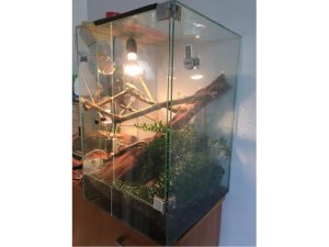 Predam terarium pre chameleóna