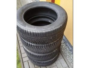 Hankook W320 Winter icept Evo 2 225/60 R17 99H