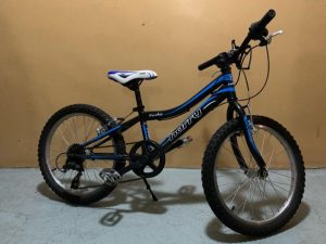 Chlapcensky 20” mtb bike Harry