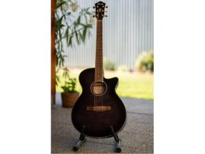 Elektroakustická gitara - Ibanez AEG24II TGB