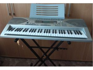 Predam klavesy CASIO CTK-900