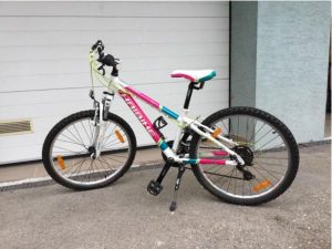 Bicykel HAIBIKE LITTLE LIFE 24