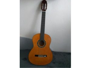 Gitara Valencia