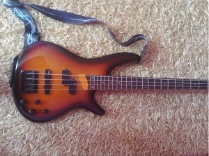 Ibanez sdgr_500