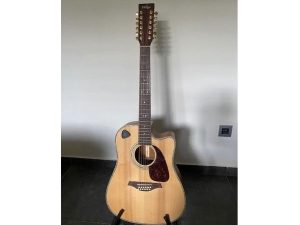 Na predaj 12 strunová gitara zn. Vintage