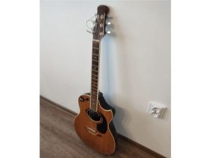 Retro gitara