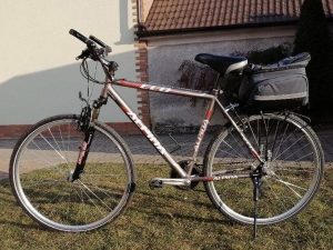 Pánsky bicykel Alpina ECO C10