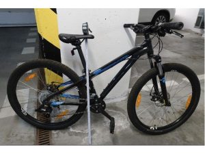 Specialized P.series