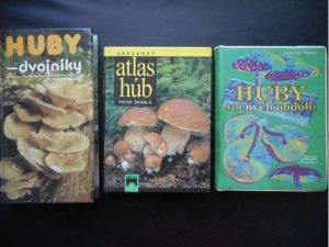 3x Atlas húb