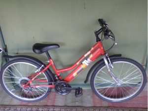 Predam bicykel - 24