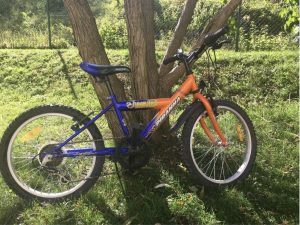 Detsky bicykel velkost 20