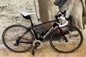 Specialized Amira