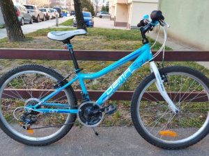 Bicykel Dema Iseo 24