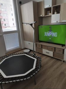 Fitness jumping trampoline