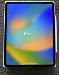 iPad Pro 12.9 256GB 5th Generation (2021) W + Cellular